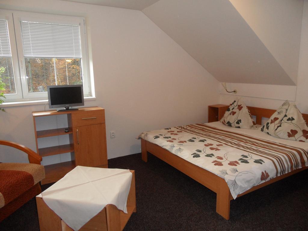 Vila Kamila Janské Lázně Chambre photo