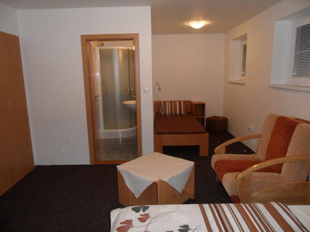 Vila Kamila Janské Lázně Chambre photo
